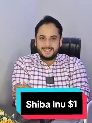 A man in a checkered shirt is seated in a chair against a light gray background. The cover includes a text overlay showing the Shiba Inu cryptocurrency with the price point of $1.