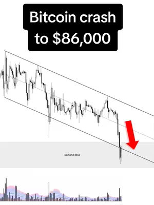 The cover image shows a line graph illustrating Bitcoin's price movement, with a red arrow pointing downward. There is text overlayed.