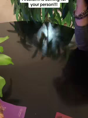 The image shows lush green plants in the background, with a table reflecting the plants, other objects and surrounding. The text overlay reads: "Firestorm is coming for your person!!!".