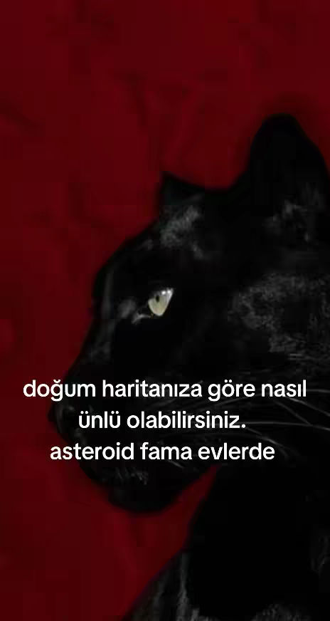 The cover image is dominated by a black panther against a red background. The panther's eye is visible, with text overlaid in white at the bottom.