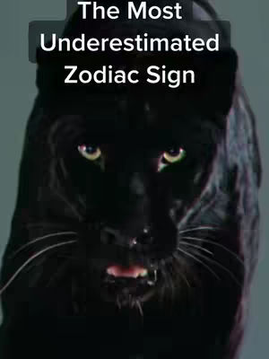 The image features a close-up of a black panther's face against a muted background. Text overlays are positioned at the top, further defining the content.