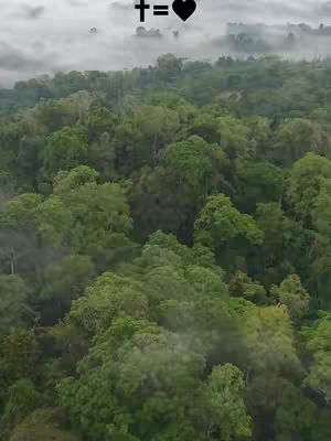 An aerial view of a lush green forest canopy with patches of fog or mist. In the top center, a textual element shows a cross symbol equals a heart, indicating religious themes.