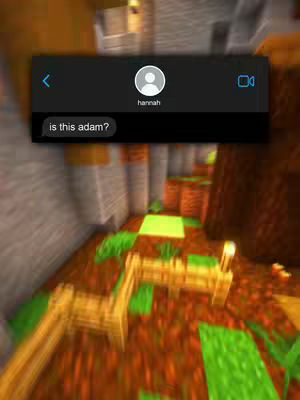 The cover image shows a blurred Minecraft environment with a chat bubble overlay. The overlay features a chat from "hannah" asking "is this adam?". The background is pixelated, possibly the interior of a Minecraft structure.