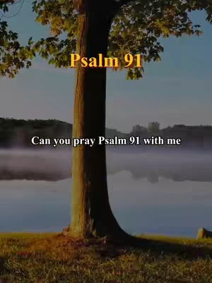 A scenic view featuring a tree trunk prominently in the foreground, with a body of water and distant hills in the background. The sky is visible in the upper portion of the image. Text overlays are present, including a title and a call to action.