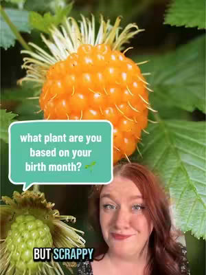 A woman with red hair smiles in front of a background featuring an orange berry and green leaves, with overlay text in a speech bubble.