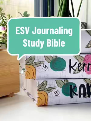 The cover image shows a stack of two books, with the title "ESV Journaling Study Bible" in a speech bubble in the upper center. The books have a floral pattern on the edges and a name written in black script on the side. The background suggests an indoor setting with natural light and plants.
