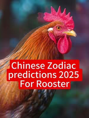 The cover image features a close-up of a rooster. The rooster has orange-brown feathers and a red comb and wattle. Overlayed on the image is a red rectangle containing white text.