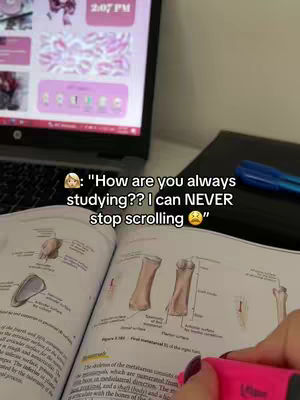 A person is studying at their desk, with a textbook open in front of them and a laptop in the background. On the book displays anatomical illustrations, and a highlighter is held next to the page. A text overlay adds comments about studying.
