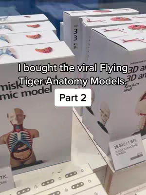 The cover image shows a view inside a store. Several boxes of anatomical models are stacked on a shelf. The boxes have images of the models (human torso, skull) and text. A text overlay reads "I bought the viral Flying Tiger Anatomy Models. Part 2".