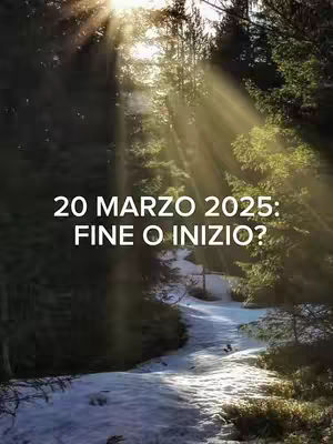 A scenic image of a forest bathed in sunlight filtering through the trees. The composition features a path winding through a snow-covered area, surrounded by trees. The text overlay is positioned at the center, with the title in white font.