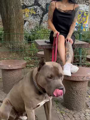 A woman and a dog seated outdoors. The woman, with tattoos and a black dress, sits on a stone bench, holding a red leash attached to a large dog with a large tongue sticking out. The background shows a brick wall with graffiti and some trees.