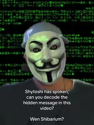 The cover image features a person wearing a Guy Fawkes mask against a background of what appears to be a digital rain of code. The person is wearing a dark shirt and a grey beanie with a palm tree design. Text overlays are positioned below the person. The overall composition suggests a tech or cryptocurrency theme.