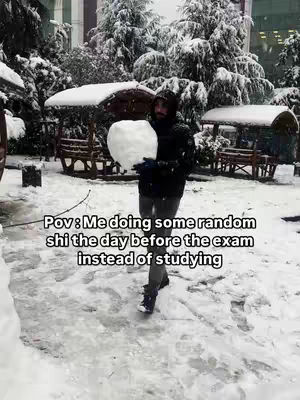 A person in dark clothing is standing in a snowy landscape, holding a large snowball. The background shows snow-covered trees and structures, with a slightly overcast sky.