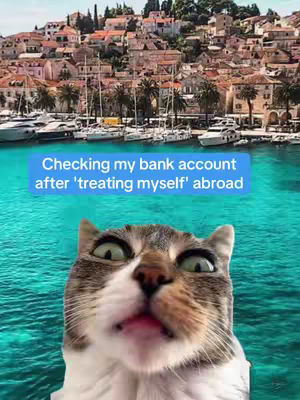 A cat's face, prominently displayed in the foreground with a surprised expression, pink mouth open. The background is a coastal landscape with buildings, boats, and turquoise water. A teal rectangular text overlay is positioned above the cat.