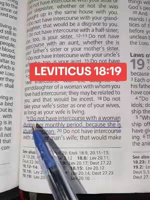The image displays an open book with text. A red rectangular box with the text "LEVITICUS 18:19" is overlayed. A pen emphasizes the words of the sentence as a visual aid.