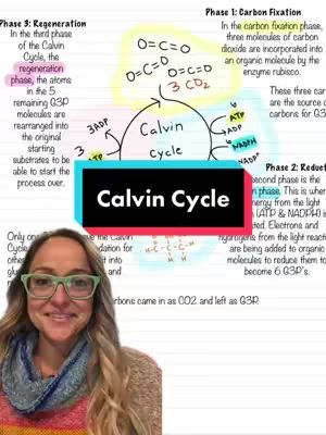 A woman with glasses smiles at the camera, with a biology diagram and the text "Calvin Cycle" overlaid.
