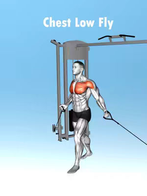 A 3D rendered image of a man demonstrating a chest exercise using a cable machine. The man is standing with his feet apart, holding the cable handles in front of him, arms extended. The color palette is shades of blue and grey with the chest muscles highlighted in red. The overall composition suggests instruction or demonstration of a workout technique.
