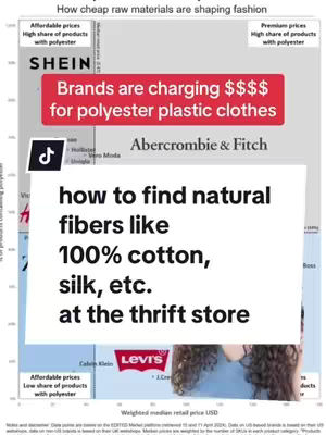 The cover image is a chart analyzing the correlation between the price of fashion brands and the percentage of polyester they use. The chart's title is "How cheap raw materials are shaping fashion." The layout includes the logos of fashion brands like SHEIN, Abercrombie & Fitch, Calvin Klein, and Levi's. Text overlays highlight key points, such as 'Brands are charging $$$$ for polyester plastic clothes' and "how to find natural fibers like 100% cotton, silk, etc. at the thrift store". The chart utilizes a color palette including red, white and blue, and various shades of grey.