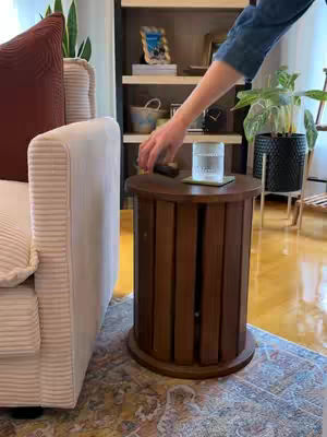 A living room scene featuring a partial view of a white couch with a maroon pillow and a wooden barrel-shaped side table. A person's arm is reaching towards the table. In the background is a shelf with decorative items. Plants and a patterned rug complete the cozy atmosphere.