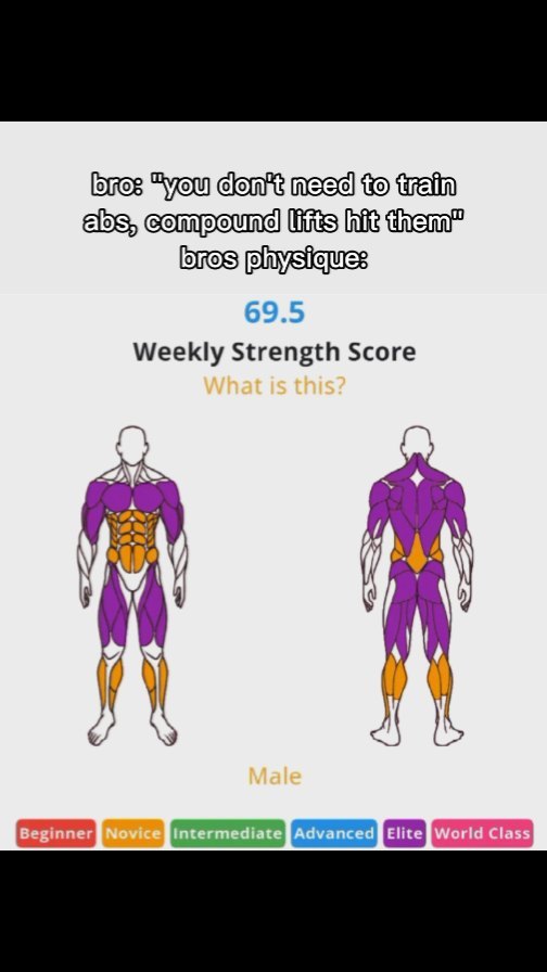 The image displays an infographic about training. The top text is in white font over a black background. Below, there's a muscle diagram of a human figure split in two: one view shows the front and the other shows the back. The muscle groups are color-coded, and a score of '69.5' with the text 'Weekly Strength Score' and 'What is this?' right above the figures. At the bottom are several boxes with the text 'Beginner', 'Novice', 'Intermediate', 'Advanced', 'Elite', and 'World Class'. The word 'Male' is in white at the center. The color palette consists of purple, orange, and white on a light gray background. The layout is straightforward and informative.