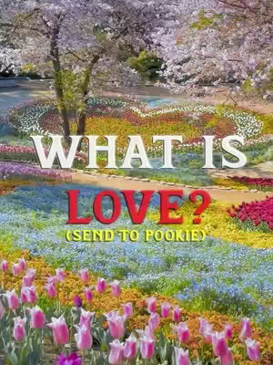 A colorful image of a garden with text overlays. The foreground features pink tulips, transitioning to beds of blue and yellow flowers. In the middle ground, large, white text reads, "WHAT IS" above "LOVE?" in a bold red font. The text is slightly curved. The background displays a pathway and trees with early blossoms.