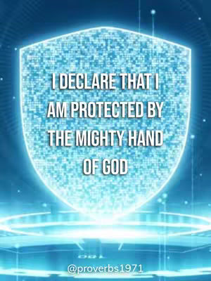 A digital shield with textured, glowing surfaces and text overlaid. The shield shape is a stylized, light-blue design with intricate details, set against a dark, blurred blue background suggesting a technological or futuristic theme.