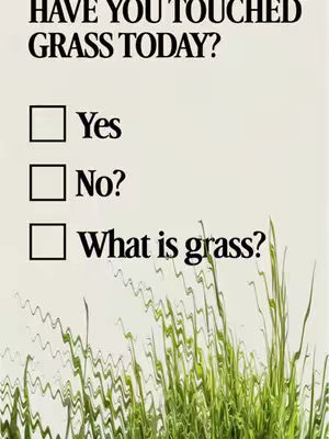 An image with pastel-colored background. A checklist with the question, "Have you touched grass today?" is centered, featuring boxes for "Yes," "No," and "What is grass?" At the bottom, there's a distorted rendering of grass, with waving green blades. The image's composition is symmetrical, with text at the top and the grass at the bottom. The color scheme uses both text and background.