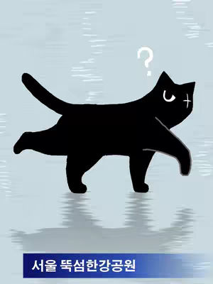 An illustration of a black cat standing on a frozen body of water. The cat has a white question mark above its head. Below the cat, there are colored words.