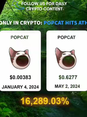 The image features a split screen with two panels containing information related to the cryptocurrency Popcat. Both panels feature the Popcat meme, with one showing a price of $0.00383 on January 4, 2024, and the other showing $0.6277 on May 2, 2024. At the bottom, a percentage increase of 16,289.03% is displayed. The background is a blurred green image, suggesting a natural environment.