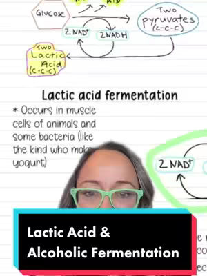 A video cover image showing a woman in front of a science diagram about anaerobic respiration. The bottom layer contains a black rectangle with white text.