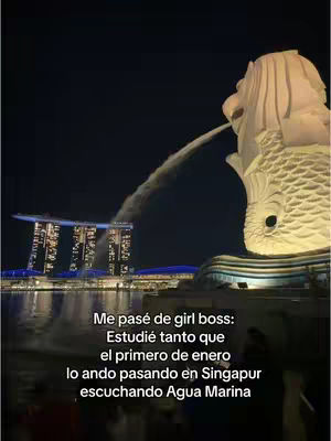 The cover image shows a nighttime cityscape with the Merlion statue in Singapore prominently featured. The Merlion, a mythical creature with the head of a lion and the body of a fish, is positioned on the right side of the frame, spewing water. Behind it, the illuminated Marina Bay Sands hotel and other buildings create a bright skyline. Text is overlayed in white at the bottom, providing context to the image.