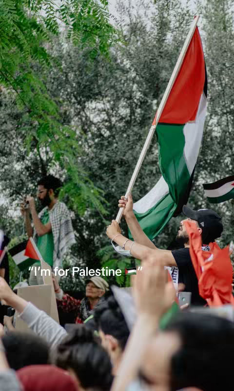 The cover image depicts a crowded gathering of people, likely a protest or demonstration, with a focus on individuals holding up Palestinian flags. The scene is set outdoors, with a blurred background of trees and foliage. In the foreground, a person is holding the Palestinian flag and others are holding up their hands expressing solidarity.