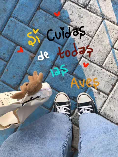 The image shows a person standing on patterned blue and white cobblestones, viewed from the waist down. The person is wearing light blue jeans and black and white sneakers. A beige tote bag is held on the left side, with a small plush toy peeking out. Written in colorful, playful text on the ground is "Si Cuida de todas las Aves".