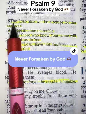A close-up shot of an open bible page with text highlighted in yellow. A red pen with pink accents is positioned in the lower left corner, and a light blue overlay with white text that says 'Never Forsaken by God' is at the bottom of the image.