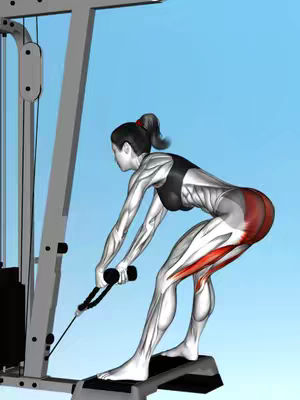 The image shows a woman performing cable exercises with a cable machine. The woman is standing on a platform, bent at the waist, and holding the cable handles. The muscles being used are highlighted in red on the legs and glutes. The background is a light blue color.