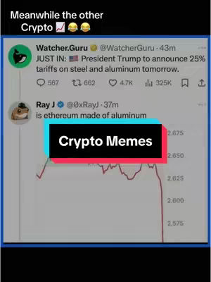 The cover image shows a screenshot of a Twitter thread. At the top, it says "Meanwhile the other Crypto" with an upward trending graph icon, following by some laughing emojis. In the middle, there is a label with the text "Crypto Memes". The following Tweets are shown: "JUST IN: President Trump to announce 25% tariffs on steel and aluminum tomorrow". And "is ethereum made of aluminum".