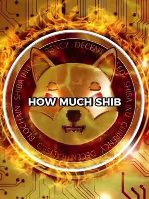 A circular graphic featuring the Shiba Inu dog breed as a gold coin. The coin is set against a background of flames and circuit board patterns. The phrase "HOW MUCH SHIB" is written across the coin in a bold, white font. The overall composition uses a warm color palette including golds, oranges, and reds.