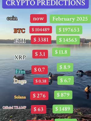 An image of a serene lake scene with ducks and text overlay showing cryptocurrency predictions. The top of the image has the text 'CRYPTO PREDICTIONS'. A list of cryptocurrencies is shown on the left. The image includes a few ducks swimming in the water.