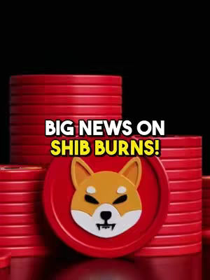 The image shows a red background with stacked coins. In front of those coins is a Shiba Inu coin. The text overlay says: 'BIG NEWS ON SHIB BURNS!'