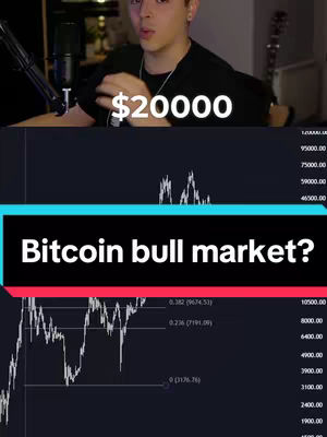 The image shows a man speaking with a microphone on the top layer. Below, there is a graph representing the Bitcoin price, with text overlayed: 'Bitcoin bull market?' and '$20000'. It's a combination of a person and a technical chart, suggesting a financial analysis.