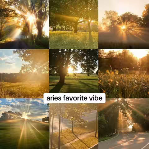 A grid of nine images showcasing various scenes of natural beauty, primarily focused on sunlight filtering through trees. The composition features a warm color palette dominated by golden hues, with the sun's rays prominently displayed in each frame. Images include landscapes, fields, and roadways, all bathed in warm sunlight.