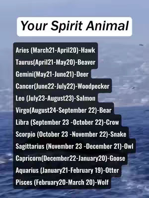 The image shows a vertical list against a backdrop of a seascape with a sky. The top of the image contains the text 'Your Spirit Animal' in a white box. Below the box appears a list of zodiac signs, their corresponding dates, and the animal associated with them, all listed in black text against a gray box. The list includes Aries (Hawk), Taurus (Beaver), Gemini (Deer), Cancer (Woodpecker), Leo (Salmon), Virgo (Bear), Libra (Crow), Scorpio (Snake), Sagittarius (Owl), Capricorn (Goose), Aquarius (Otter), and Pisces (Wolf).