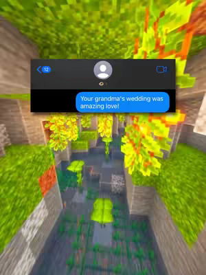 The image features a Minecraft-style environment with a text message overlay. The scene is a low-angle shot looking up, with green foliage and water elements. A text message bubble is displayed, with a chat bubble saying "Your grandma's wedding was amazing love!"