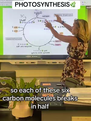 A woman stands next to a whiteboard diagram of photosynthesis, explaining it. She is gesturing towards the diagram, and additional text describing the process is located at the bottom of the image.