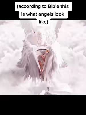 The cover image shows a stylized depiction of an angel, rendered in a way that suggests a digital artwork or a high-quality illustration. The angel is presented against a bright, cloudy background, with white feathers prominently displayed. Text overlayed at the top of the image reads: '(according to Bible this is what angels look like)'. The overall composition is centered, and the color palette is dominated by whites, light blues, and subtle pinks.