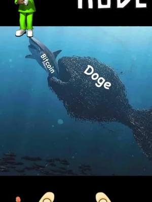 An image depicting a blue sea scene. A comical illustration features a person on the top, standing next to a cartoon dolphin labeled "Bitcoin". The dolphin appears to be pursued by a large, dark figure labeled "Doge". The image is a play on a classic meme. The background is a gradient of blue. The overall composition includes text overlaid on the figures.