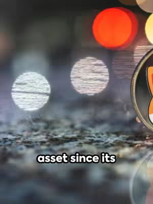 The image presents a blurry background filled with out-of-focus, colorful circular lights suggesting a night scene. In the foreground, a portion of a cryptocurrency coin is visible, featuring a circular design with a detailed Shiba Inu dog. Beneath the coin, white text is overlaid, also slightly out of focus.