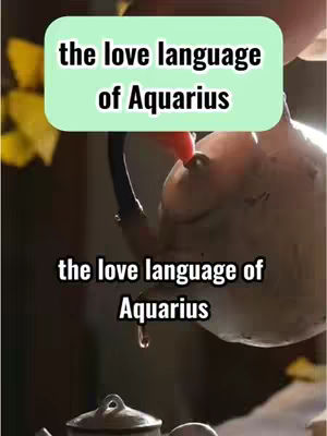 The image features a dark, blurry background with a teapot and a text overlay. The teapot is porcelain and in focus, with a drop of liquid falling from its spout. Above, a light green rounded rectangle displays text that reads 'the love language of Aquarius' in black.