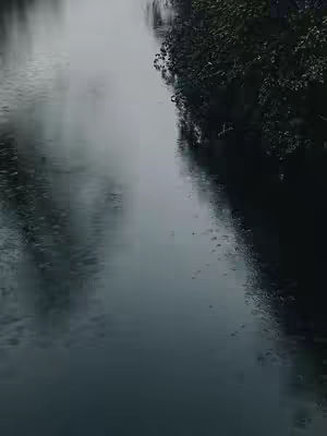 An atmospheric image of a body of water reflecting a cloudy sky. Raindrops are visible on the water's surface. Trees line the right side of the frame adding a dark, dense contrast to the scene.