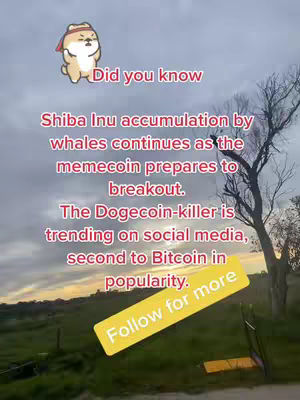 The cover image shows a landscape view with text overlayed. The sky transitions from orange at the horizon to gray. A Shiba Inu cartoon is at the top, and text in a red font and a yellow banner with white text. The background may be a field and some trees, with a fence and a tree.